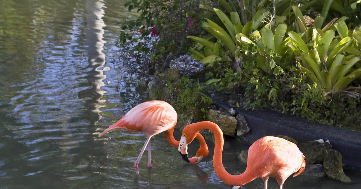The Level At Melia Punta Cana Beach Adults Only Μπάβαρο Εξωτερικό φωτογραφία
